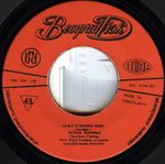 [Slika: 116182273_jpg3.jpg]