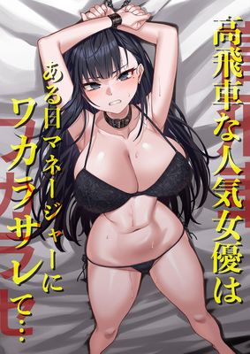 [Artbook] [みっつまん] 高飛車な人気女優はある日マネージャーにワカラサレて. (オリジナル)