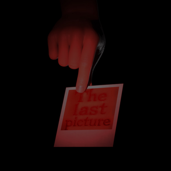 The Last Picture [v1.1.1]