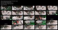 Free Image Hosting
