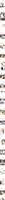 Free Image Hosting
