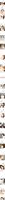 Free Image Hosting