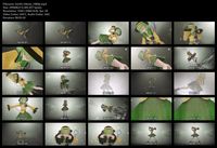Free Image Hosting