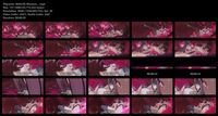 Free Image Hosting
