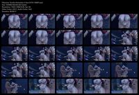 Free Image Hosting