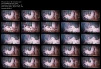 Free Image Hosting