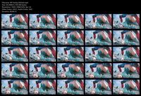 Free Image Hosting