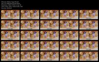 Free Image Hosting