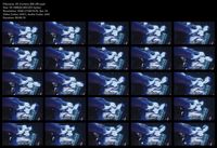 Free Image Hosting