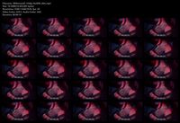Free Image Hosting
