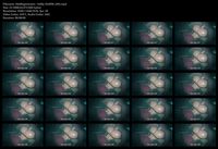 Free Image Hosting