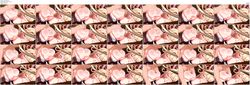 Free Image Hosting
