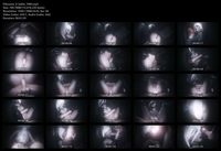 Free Image Hosting