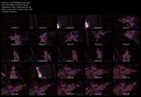 Free Image Hosting